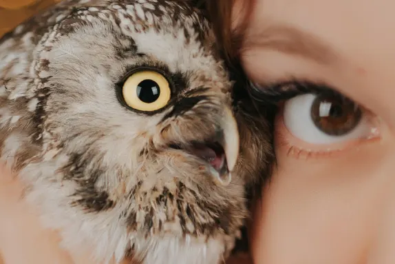 Казино Роял Уинър Поддръжка